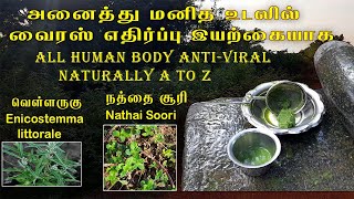 All human body #Anti-Viral naturally A to Z/அனைத்து உடலில் வைரஸ் எதிர்ப்பு இயற்கையாக A to Z/JU Suvai