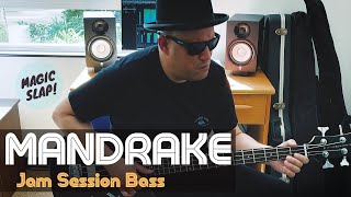 Rocanroleo “Mandrake” Jam Session Bass