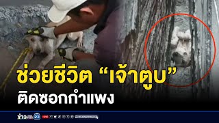 ช่วยชีวิต “เจ้าตูบ” ติดซอกกำแพง | ข่าวเช้าเวิร์คพอยท์ | 9 พฤศจิกายน 2567