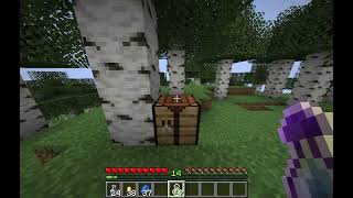 Minecraft - Exp In A Bottle plugin - quick demo