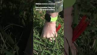 Mark anything on the ground | Marking Whiskers