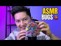 ASMR BUGS🐞For Sleep (Mouth Sound, Pluck, Scratch)