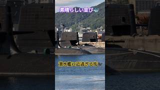 何隻居るんじゃ🐳⁉️潜水艦に近過ぎる街🐦‍⬛