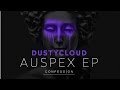 DUSTYCLOUD - Last Chance | CONFESSION