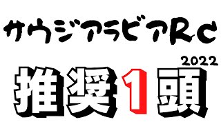 【サウジアラビアロイヤルカップ2022】見るのはやはりアソコだけ！？並列評価難しい世代重賞でも東京コースなら