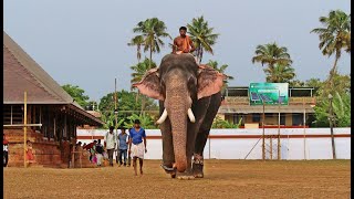 Thiruvambady Sivasundar Album....Jayachandran Song #Shivasundar #Thrissur_Pooram #Thampuran