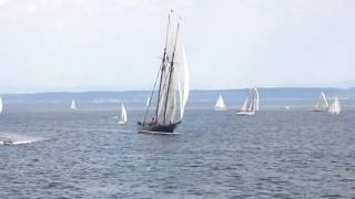 Schooners on Parade