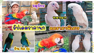 อัปเดตราคานก จตุจักร ร้าน Pet Ex ลดราคาพิเศษ จัดส่งได้ทั่วประเทศ