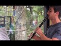 Playing Classical Music for the Black-Handed Spider Monkeys