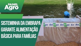 Sisteminha da Embrapa Meio Norte garante alimentação básica para famílias