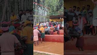 Kambala Start #today #south #race #trending #motivation