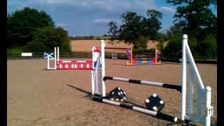 marmaduke at tack farm