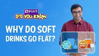 Why Do Soft Drinks Lose Their Fizz? #shorts #KeepLearning