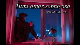 তুমি আমার স্বপ্ন আশা তুমি ভালোবাসা। Tumi amar sopno asa tumi valobasa lofi (slowed \u0026 reverb)