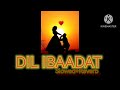 | DIL IBAADAT |  #slowedreverb #lofi #love #song  #trending  #Relaxezones