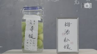 【01教煮】私釀梅酒