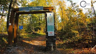 Singletrack Glacensis - Pętla Dwie Przełęcze. Pomiędzy Przełęczą Jaworową a Przełęczą pod Trzeboniem