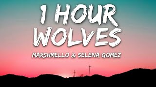 Selena Gomez, Marshmello - Wolves (Lyrics) 🎵1 Hour