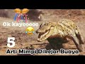 5 reti mimpi ka BAYA nitih ka pansik asal...