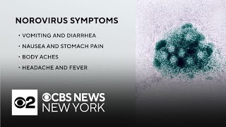 Nearly 1,300 cases of norovirus reported in NYC in December