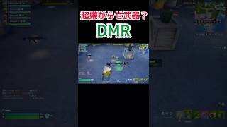 超嫌がらせ武器？DMR！