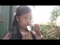 dry cough ba rane gusuaniko namatani home remedies achik health tips