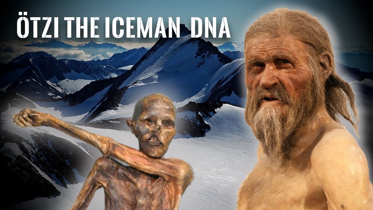 DNA Results Of Ötzi The Iceman - YouTube