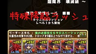 【パズドラ】特殊降臨ラッシュ　壊滅級　周回編成　ソロ　ニーズヘッグシステム