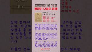 2024년 1월 16일 별자리 오늘의 운세 [월별 : 일별 : 일일 : 운세 :  일일운세 : 별자리 : 별자리운세]