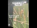 20231215 에픽하이콘서트 epikhigh 박규봉