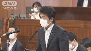 急変すれば命救えない？「自宅療養」めぐり国会質疑(2021年8月5日)