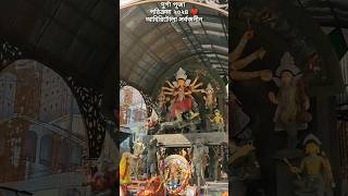 Puja Parikrama 2024 | Ahiritola Sarbojanin | Durga Puja In North Kolkata | Durga Puja Shorts|Avi Tan