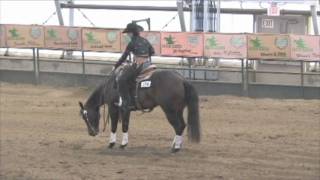 2009 RAFC NRHA Open - BSF Shortypoo / Nicole Brown