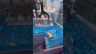 【モフサンド】エビフライ確率キタァァァァァ【クレーンゲーム】　#shorts #clawmachine #クレーンゲーム