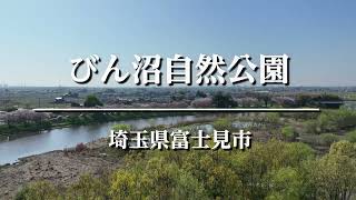 びん沼自然公園（埼玉県富士見市）