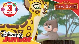 The Lion Guard | Baboon Song  | Disney Junior UK