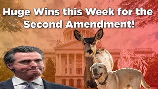 Huge Wins this Week for the Second Amendment!