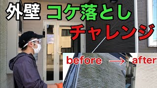 外壁のコケ落としチャレンジ