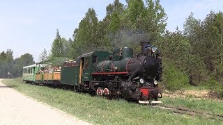 Узкоколейный железнодорожный музей в Лавассааре / Narrow gauge museum railway in Lavassaare