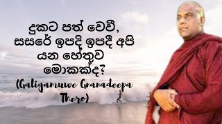 දුකට පත් වෙවී, සසරේ ඉපදි ඉපදී අපි යන හේතුව මොකක්ද? (Galigamuwe Gnanadeepa Thero)