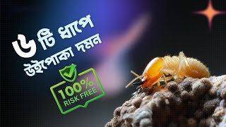 স্বাস্থ্য ঝুকিহীন  উপায়ে ৬ টি ধাপে খুব সহজে  উইপোকা নিধন করুন। ui poka taranor upay. #pestcontrol