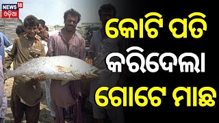 ମାଛର ଦାମ୍ ୭୦ ଲକ୍ଷ ଟଙ୍କା | Pakistan Fisherman Becomes Millionaire Overnight After Selling Suwa Fish