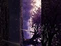 CARLA R. ” DEPTH & WEIGHT FROM THE HEART”. RECORDED 05 OCT 2013 @ JOY OF LIVING CONVENTIONASPEN, CO