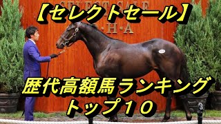 【セレクトセール】歴代高額馬ランキングトップ10（2021年8月時点）