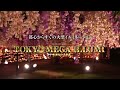 さぁ、光と馬を楽しもう。tokyo mega illumination 2020年webcm 東京メガイルミ