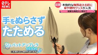 【到来】関東も「梅雨入り」迫る…傘の機能性アップ！洗濯機のカビはどう防ぐ？