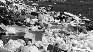 Detest - The Process Of Doom Is On (lyric video)