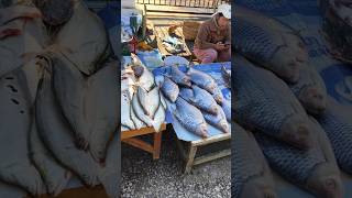 寮國龍坡邦早晨市場，蔬果魚肉新鮮交易。Morning market in Luang Prabang, Laos, sells fresh fruits, veg, fish and meat.