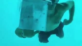 Louisiana Man Drowns After Underwater Proposal in Tanzania