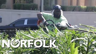 Keeping The City Beautiful- A Groundskeeper's Story